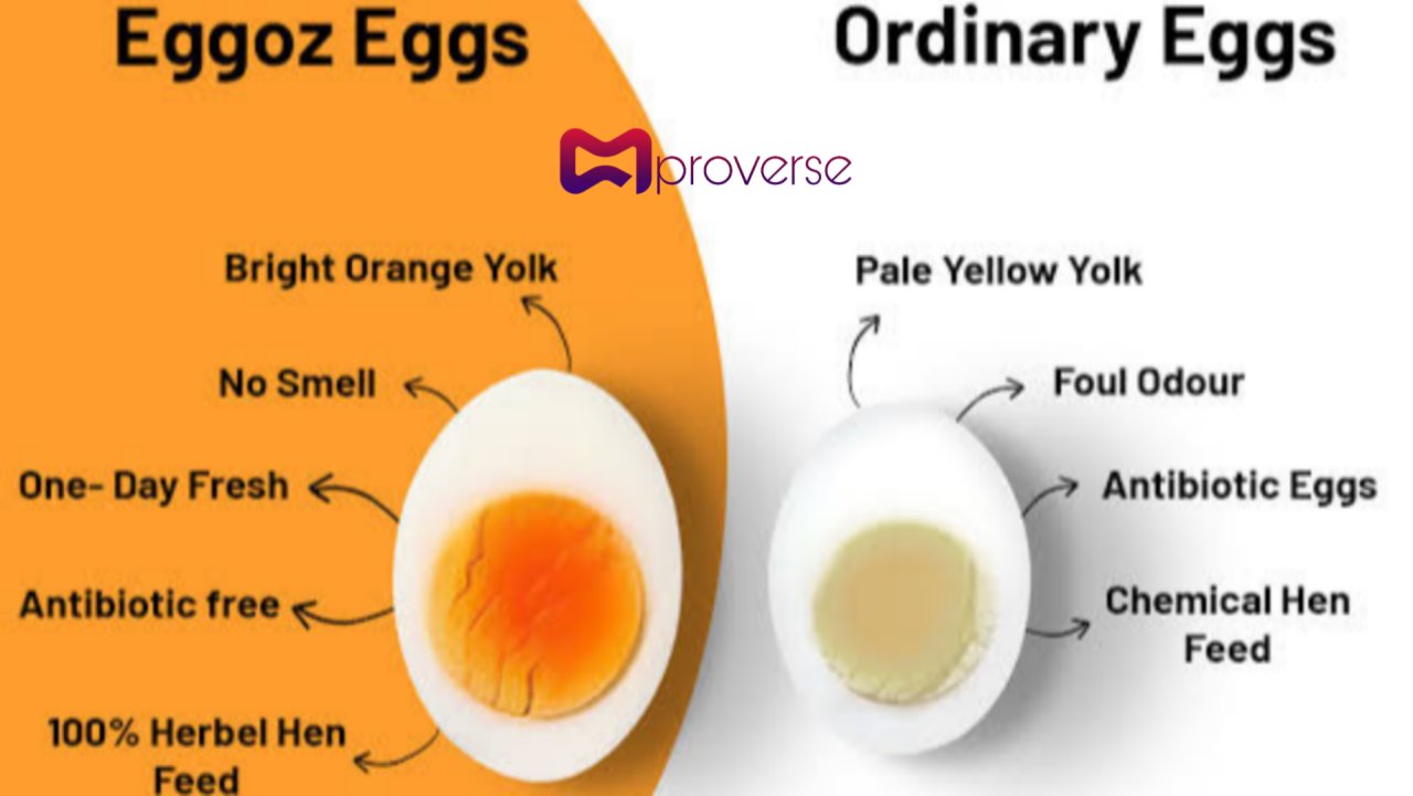 Eggoz: Redefining Farm Fresh Eggs in India as a startup