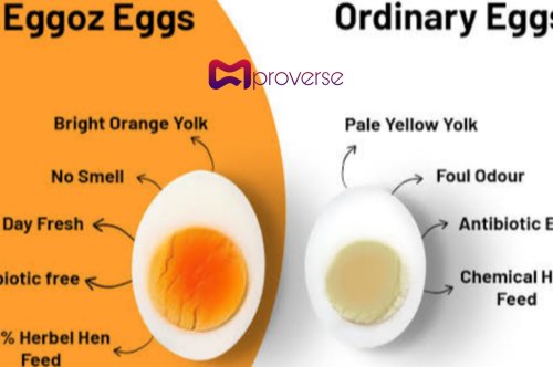 Eggoz: Redefining Farm Fresh Eggs in India as a startup